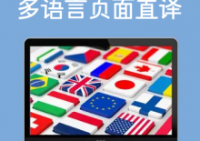 极致CMS多国语言页面直接翻译插件((已测试))((独家资源))